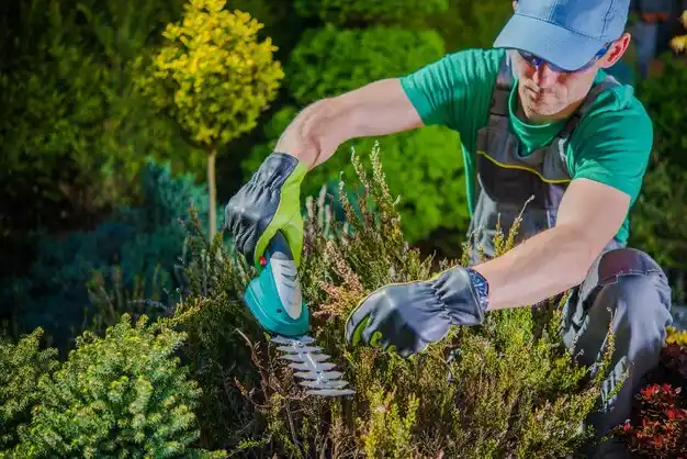 landscaping services Brewerton